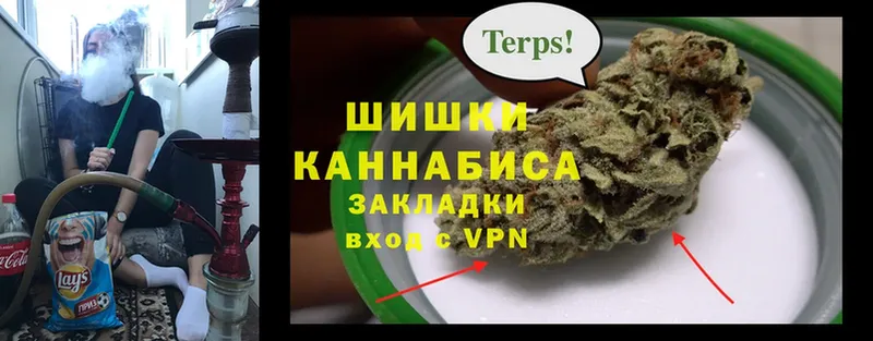 Бошки марихуана THC 21%  купить наркотики сайты  Валдай 